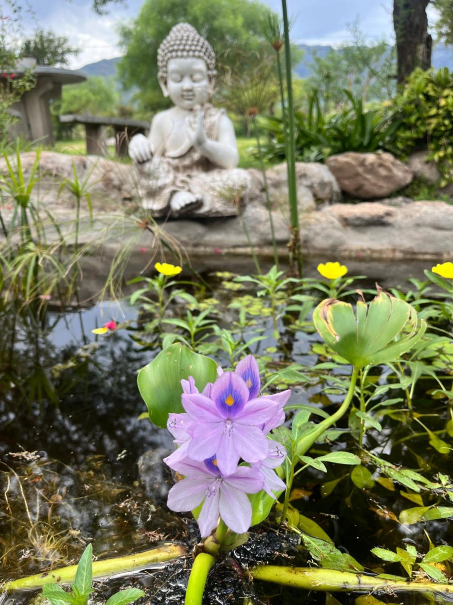 Flor Silvestre Villa Carpintería Eksteriør bilde